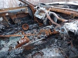 Toyota Supra JZA801005054 снимка