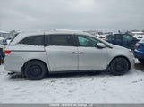 Honda Odyssey Ex 5FNRL5H40FB501824 снимка