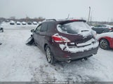 Nissan Murano S/Sl/Le JN8AZ1MW9DW301503 fotografie