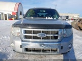 Ford Escape Limited 1FMCU94108KA15389 снимка