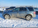 Ford Escape Xlt 1FMCU0D73AKC39570 снимка
