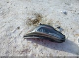 Subaru Outback 2.5I Limited 4S4BSDNC9J3278825 снимка