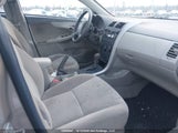 Toyota Corolla S/Le/Xle 2T1BU40E99C042847 снимка