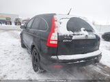 Honda Cr-V Ex 5J6RE48599L814265 снимка