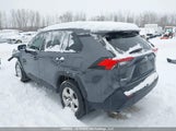 Toyota Rav4 Xle 2T3R1RFVXMC165133 снимка