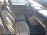 Honda Cr-V 5J6RE4H76BL806602 снимка