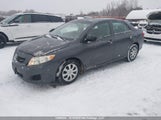 Toyota Corolla Ce 2T1BU4EE1AC211949 снимка
