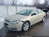 Chevrolet Malibu 1G1ZG57B994122670 снимка