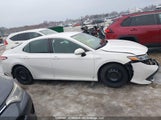 Toyota Camry Le 4T1B31HKXKU515848 photo
