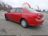 Toyota Corolla Ce 2T1BU40E19C188174 снимка