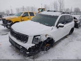 Kia Telluride 5XYP5DGC3RG468254 снимка