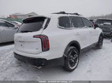 Kia Telluride 5XYP5DGC3RG468254 снимка
