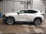 Lexus Nx 350 JTJGGCEZ2N2003803 снимка