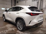 Lexus Nx 350 JTJGGCEZ2N2003803 снимка