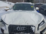 Audi Q5 2.0T Technik WA1WFCFP9FA081950 снимка