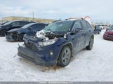Toyota Rav4 Xle 2T3R1RFVXLC124063 снимка