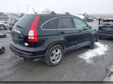 Honda Cr-V 5J6RE3H54AL800336 снимка