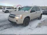 Chevrolet Equinox Ls 2CNDL13F796246137 снимка