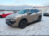 Nissan Rogue Rock Creek/Sv Dark Armor/Sv Moonroof JN8BT3BB1TW374641 fotografie