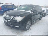 Acura Mdx Technology 5FRYD4H49GB502246 снимка