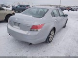 Honda Accord Ex V6 1HGCP36758A800282 photo