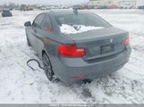 BMW 228 I WBA1F5C53EV246393 photo