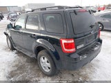 Ford Escape Xlt 1FMCU03709KD09250 снимка