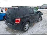 Ford Escape Xlt 1FMCU03709KD09250 снимка