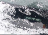 Nissan Micra 3N1CK3CP9FL200519 снимка