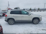 Volkswagen Tiguan S/Se/Sel WVGBV7AX9BW538979 снимка
