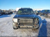 Ford Escape Limited 1FMCU94739KC24129 снимка