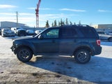 Ford Escape Limited 1FMCU94739KC24129 снимка