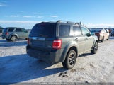 Ford Escape Limited 1FMCU94739KC24129 снимка