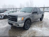 Ford F-150 Xlt 1FTFW1EF2EFA78635 снимка