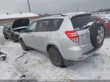 Toyota Rav4 Limited 2T3YF4DV7BW059365 снимка