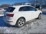 Audi Q5 Premium Plus WA1BNAFY0L2079959 снимка