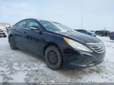 Hyundai Sonata Gls 5NPEB4AC2EH892813 снимка