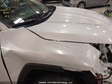 Toyota Rav4 Xle/Xle Premium 2T3R1RFV5RW438050 photo