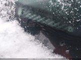 Honda Cr-V Ex JHLRD78885C803033 снимка