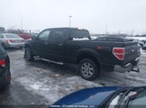 Ford F-150 1FTFW1EF0EFA72882 снимка