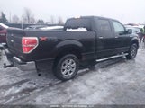 Ford F-150 1FTFW1EF0EFA72882 снимка