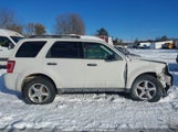 Ford Escape Xlt 1FMCU0D7XBKA34734 снимка