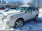 Ford Escape Xlt 1FMCU0D7XBKA34734 fotografie