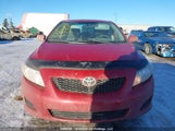 Toyota Corolla S/Le/Xle 2T1BU4EE9AC331983 снимка