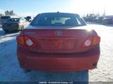 Toyota Corolla S/Le/Xle 2T1BU4EE9AC331983 снимка