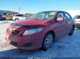 Toyota Corolla S/Le/Xle 2T1BU4EE9AC331983 снимка
