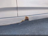 Hyundai Veloster KMHTC6AD1EU199824 снимка