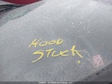 Acura Rdx 5J8TB4H51DL804957 снимка