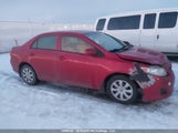 Toyota Corolla Ce 2T1BU4EE0AC251813 снимка