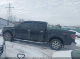 Ford F-150 Xlt 1FTFW1EF7BFC68362 снимка